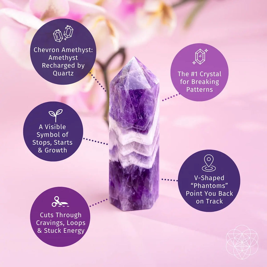 Cycle Breaker - Chevron Amethyst Point of Transformation Conscious Items